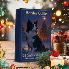 Border Collie Advent Calendar