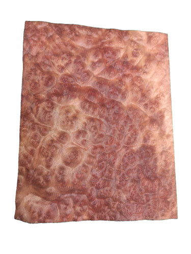 Camphor burr burl veneer 4 - camphor,