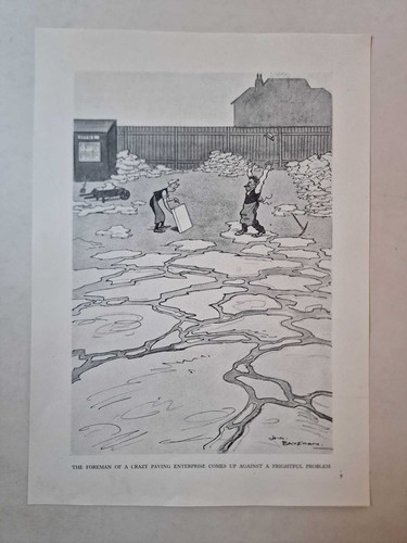 Bateman crazy paving - h.m.,