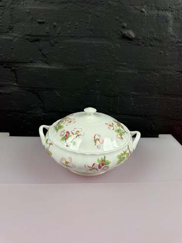 Wedgwood apple blossom covered - wedgwood,
