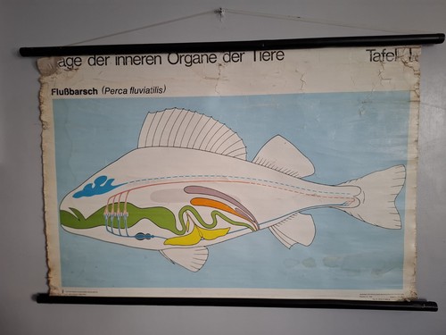 Vintage east german - vintage,