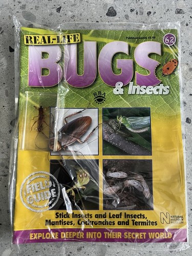 Real life bugs issue - 62, stick