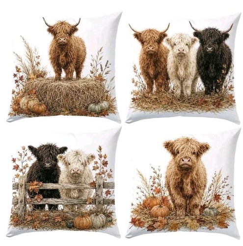 Beautiful highland cow - highland,