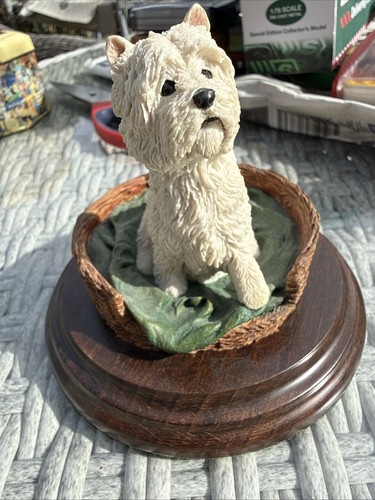 Westie west highland - west, terrier