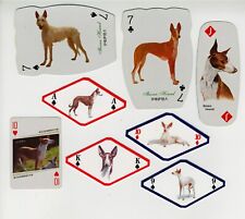 IBIZAN HOUND SINGLE COLLECTABLE NOVELTY DOG PLAYING CARDS