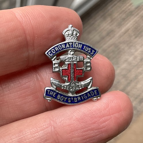 Vintage enamel lapel badge - vintage,