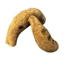 Medium Bamboo Root Branch