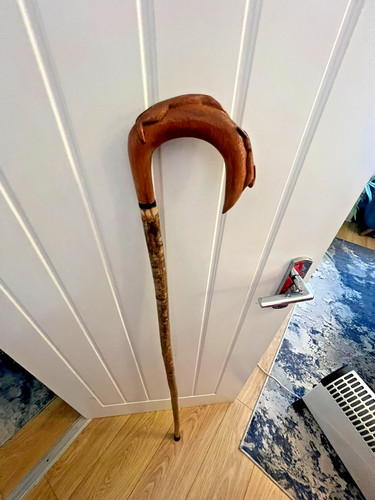 Hazel walking stick wood - hazel,