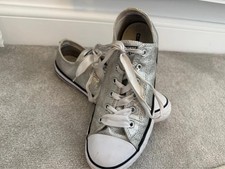 Sparkly Silver Glitter