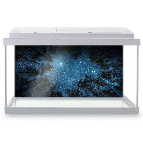 Fish tank background - tank,