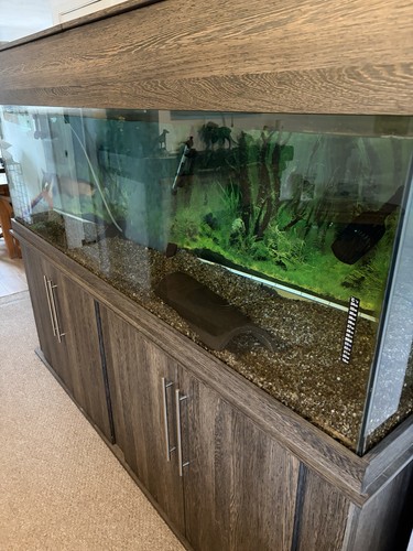 1000 litre large fish tank - litre,