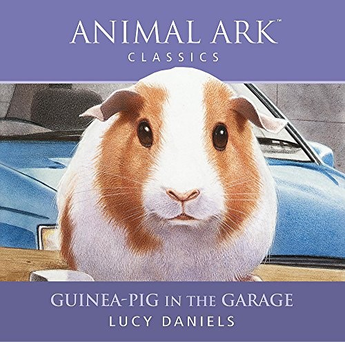 Animal ark guinea - animal, guinea-pig