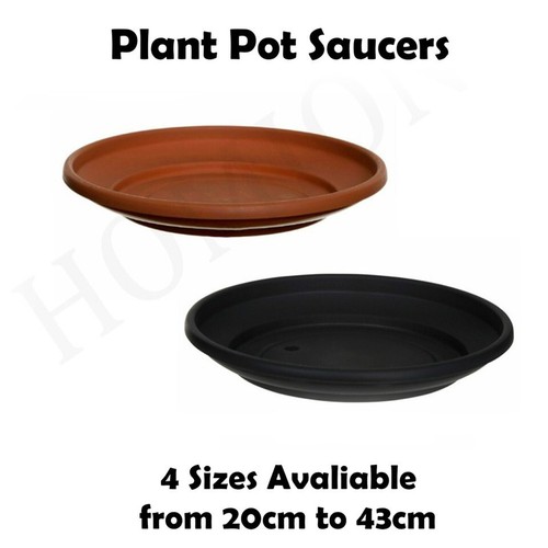 Round plant pot saucer - plant,