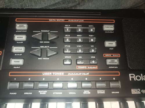 Roland exr 46or electric - exr-46or,