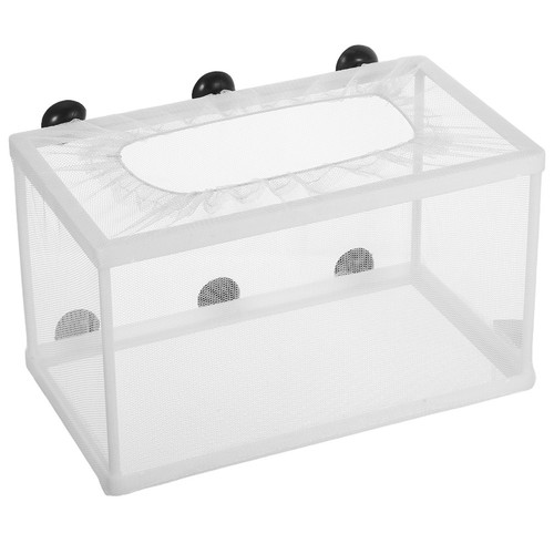 Gallon tank fish - gallon,