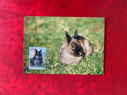 New zealand 1999 - new, card