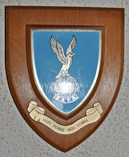 Royal Air Force Association