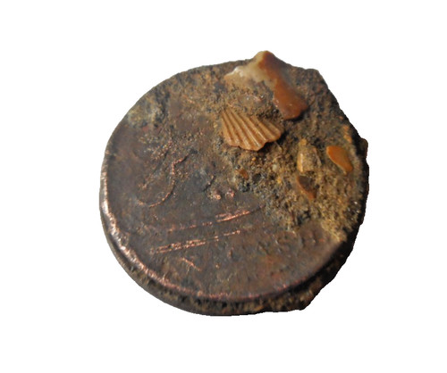 Treasure copper coin clump - coin,