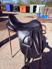 17.5 kent and masters dressage