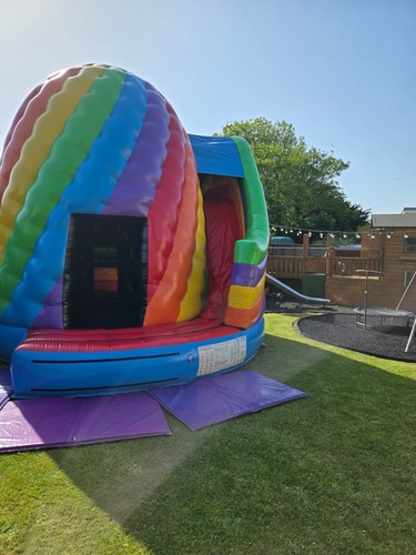 Andy inflatable bouncy - andy,