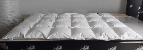 Down comforters 135x200 4x6 - comforters,