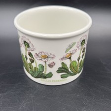 Portmeirion Botanic Garden Small Plant Pot Planter / Canister 8cm Diameter VGC