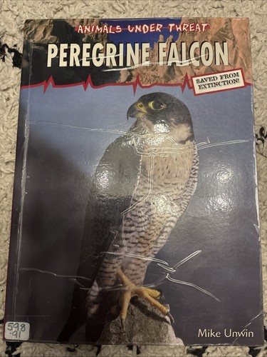 Peregrine falcon animals - falcon, under