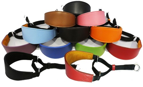 Leather martingale dog collar - martingale,