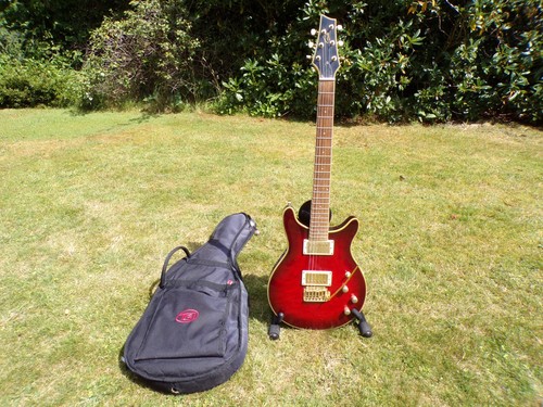 Gould electric guitar - electric,