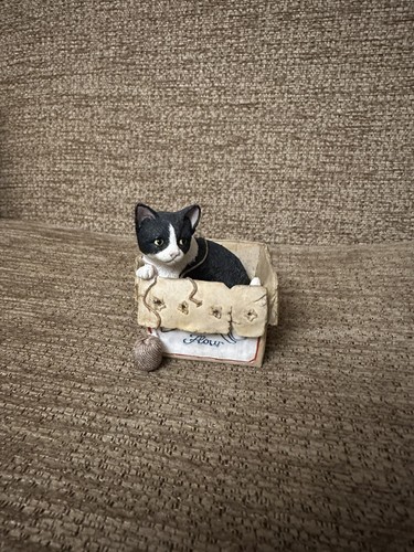 Border fine arts frisk kitten - fine,
