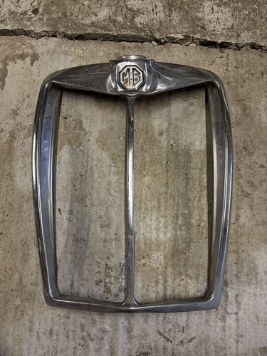 Magnette radiator grille - zb,
