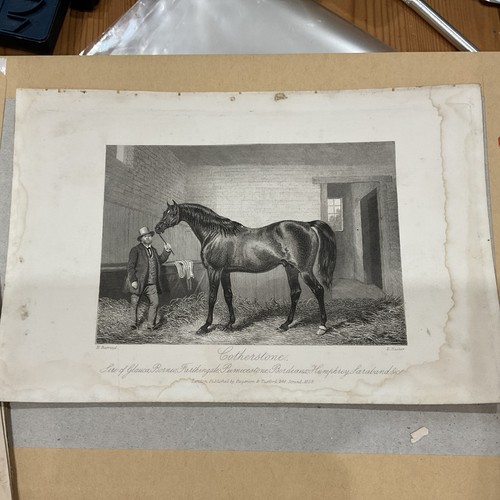 Antique horse print 1859 - print,
