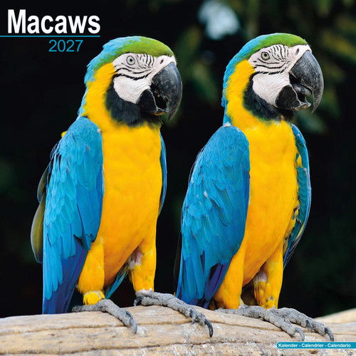 Macaws 2027 calendar - calendar, |