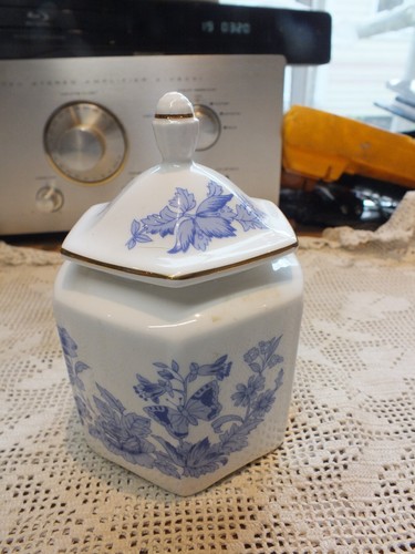 Aynsley cottage blue bone - cottage,