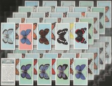 WILLS-FULL SET- BRITISH