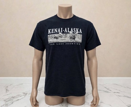 Y2k kenai alaska the last - y2k,