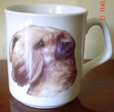 Lovely Norfolk China Wheaten