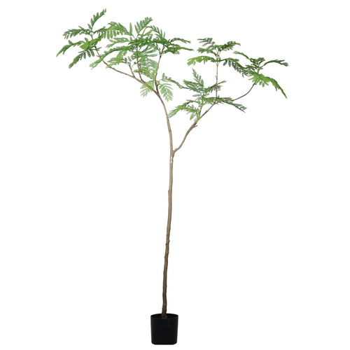 240cm artificial jacaranda - 240cm,