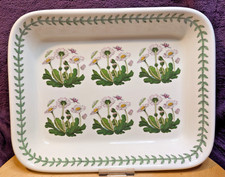 Portmeirion "Botanic Garden" ~