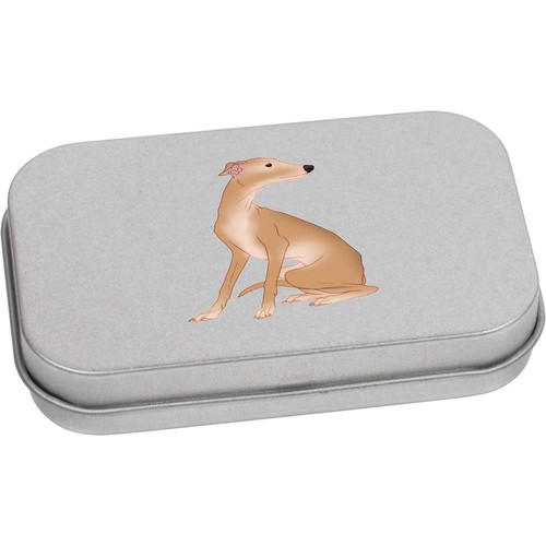 Elegant italian greyhound - italian, greyhound'