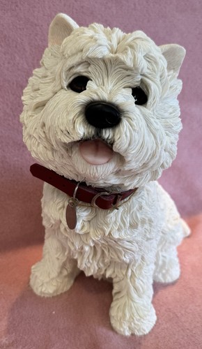 Large westie west highland - west,