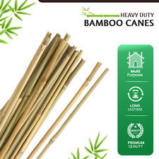 Bamboo Cane Plant Flower 2ft-6ft Support Thick Strong Sticks Outdoor Garden