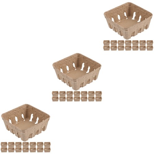 Lightweight paper berry basket - lightweight,