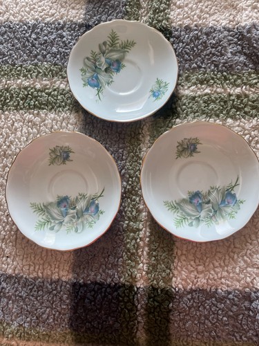 Colclough bone china - bone, saucer