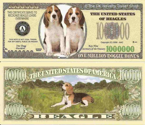 Beagle dog puppy - beagle, million