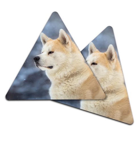 Triangle coaster akita - coaster,