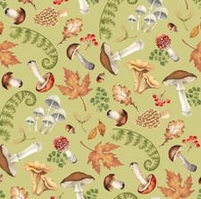 Fat quarter northcott - fat,