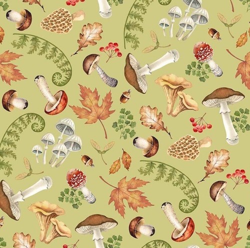 Fat quarter northcott wild - northcott,