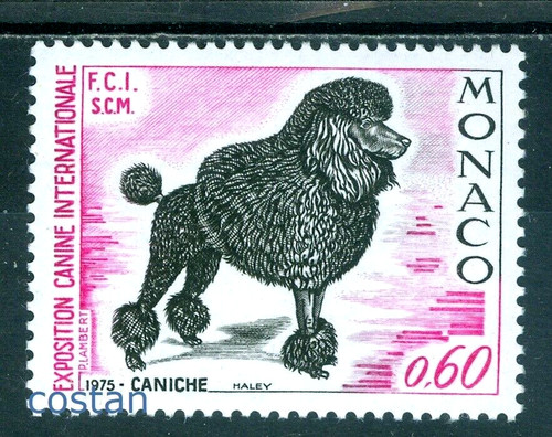 1975 intl dog show monte - 1975,