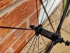 Professionally built lightweight rim brake wheelset (Tune hubs, Sapim CX Ray)
